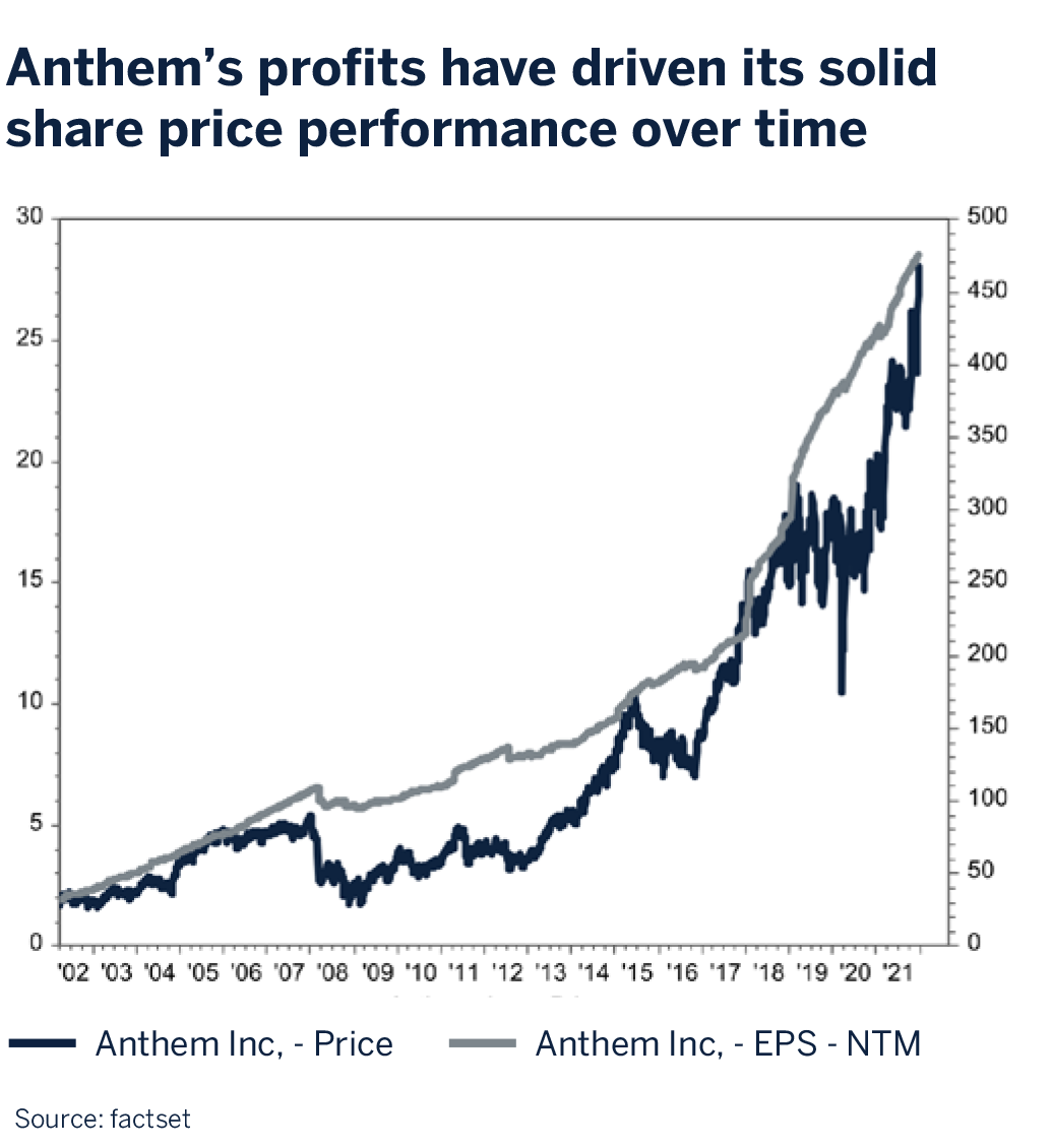 anthem's profit