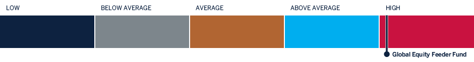 Global Equity Feeder Fund risk profile