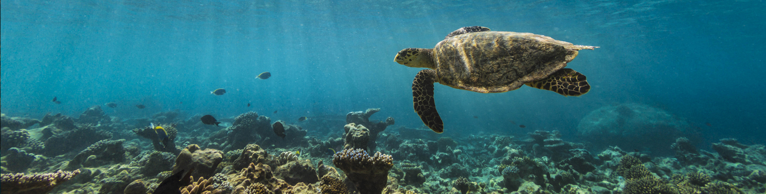 Securing a sustainable future