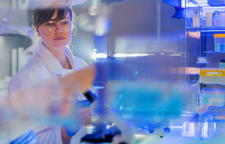 lab